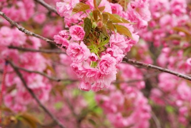 杭州临安区线下个人借款平台一站式服务，轻松解决资金难题