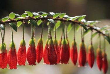 杭州临安区零用贷短借：轻松解决临时资金需求