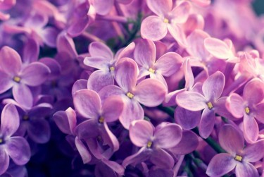 杭州临安区企业急用钱贷款攻略：快速融资解燃眉之急